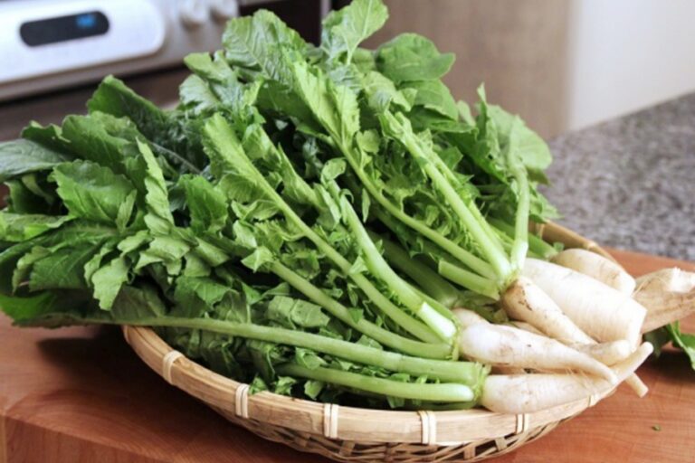 Radish Leaves: मूली के पत्तों से होंगी यह सभी बीमारियां दूर, जानिए पूरी जानकारी