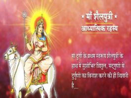 Navratri 1st Day Mata Shailputri Puja Vidhi