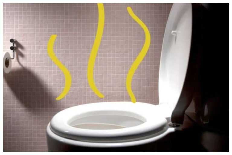 Smelly Urine Causes: क्या आपके पेशाब से भी आती है बदबू? जानें इसके कारण और उपचार