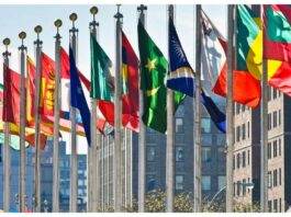 United Nation Day