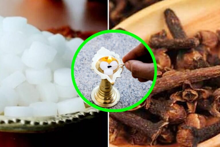 Vastu Tips: घर में रोजाना लौंग और कपूर के पूजा पाठ से मिलेंगे यह अनोखे फायदे, जल्दी जानें