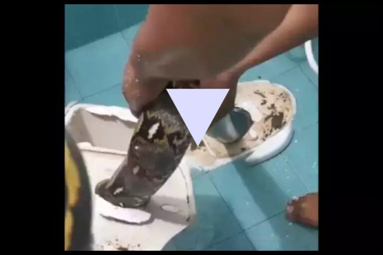 Viral Video