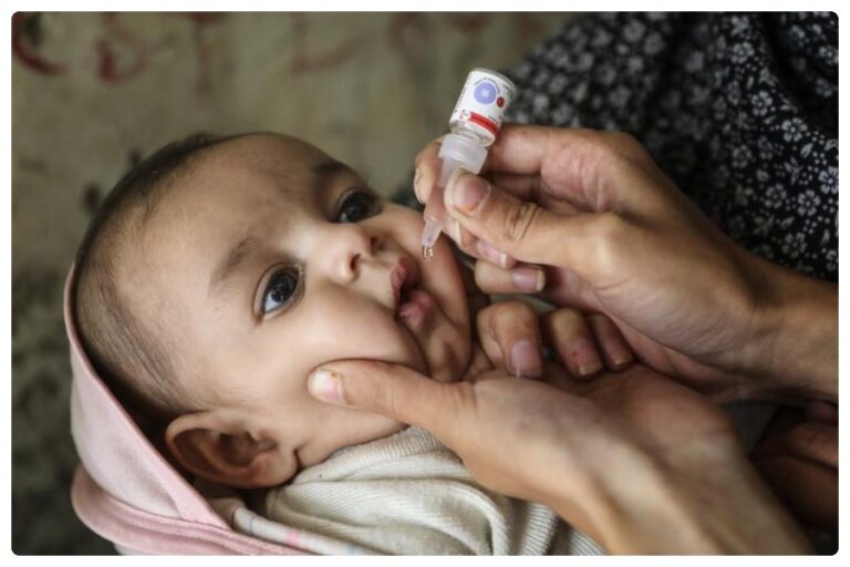 World Polio Day