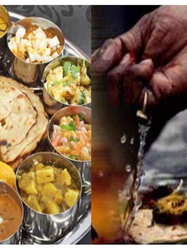pitru veg 9