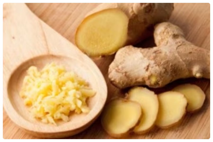 Ginger Health Risk