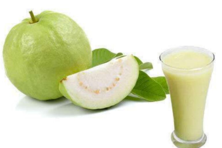 Guava Juice Benefit: अमरूद का यह जूस इन सभी समस्याओं को करेगा दूर….