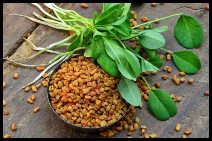 Methi Paratha Benefits