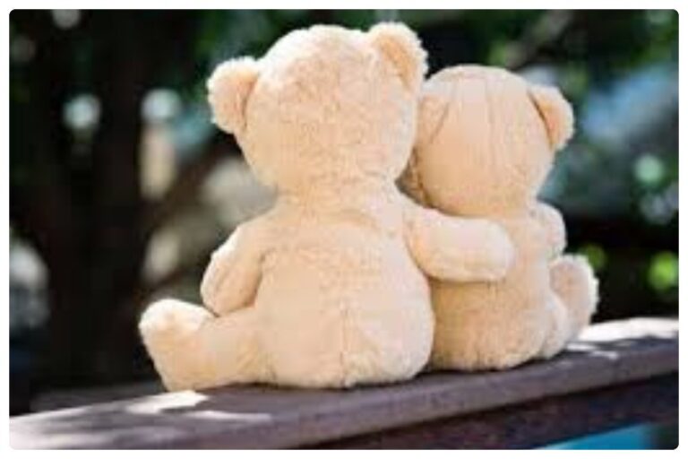 Nationl Hug A bear Day