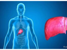 Signs Of A Fatty Liver