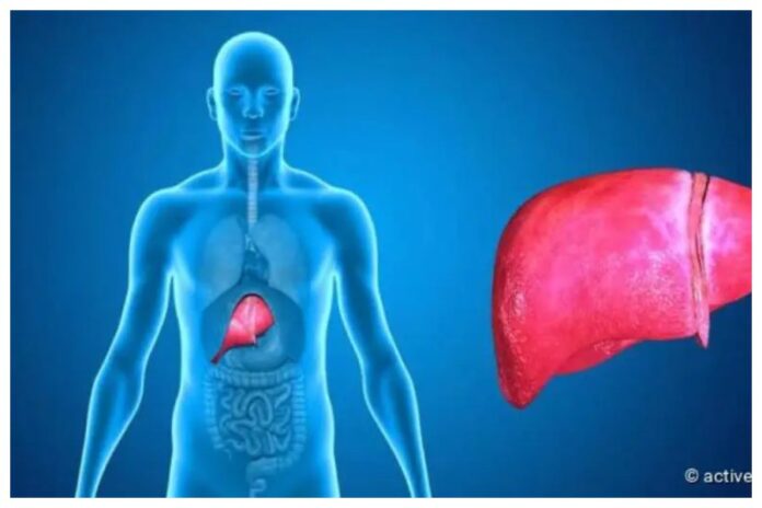Signs Of A Fatty Liver