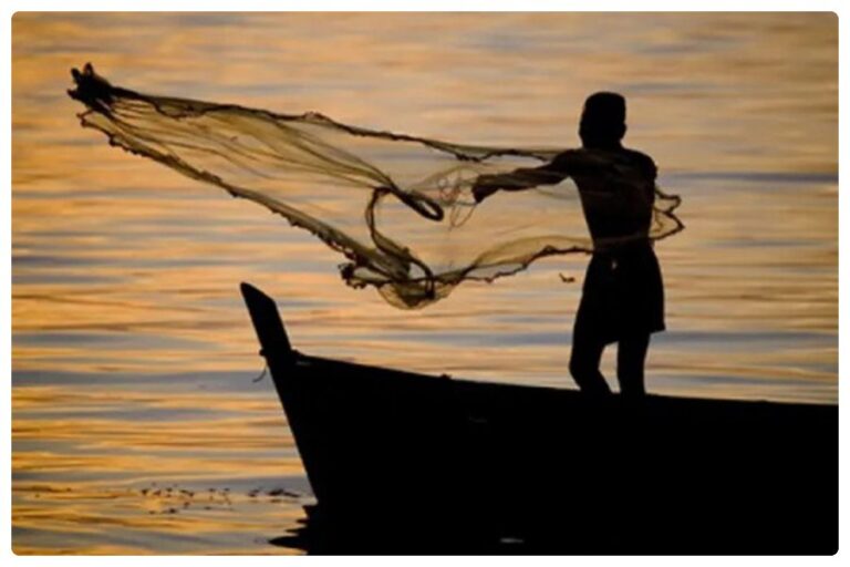 World Fisheries Day