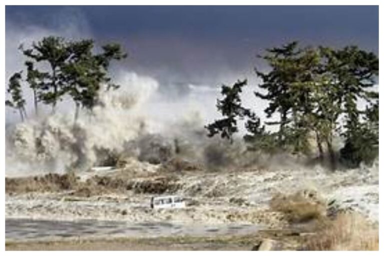 World Tsunami Awareness Day