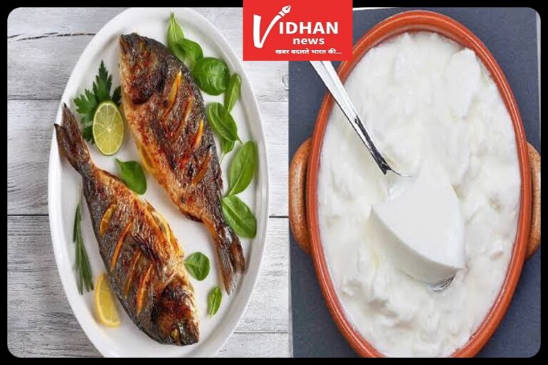 Health News:मछली के साथ भूलकर भी नहीं खानी चाहिए यह चीजे,वरना जा सकती है जान,सेहत पर पड़ता है बुरा प्रभाव