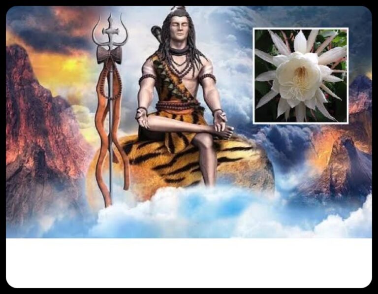 Brahm Kamal flower:सोए हुए किस्मत को जगा देगा रात में खिलने वाला यह चमत्कारिक फुल,देखने भर से पूरी होती है हर इच्छा