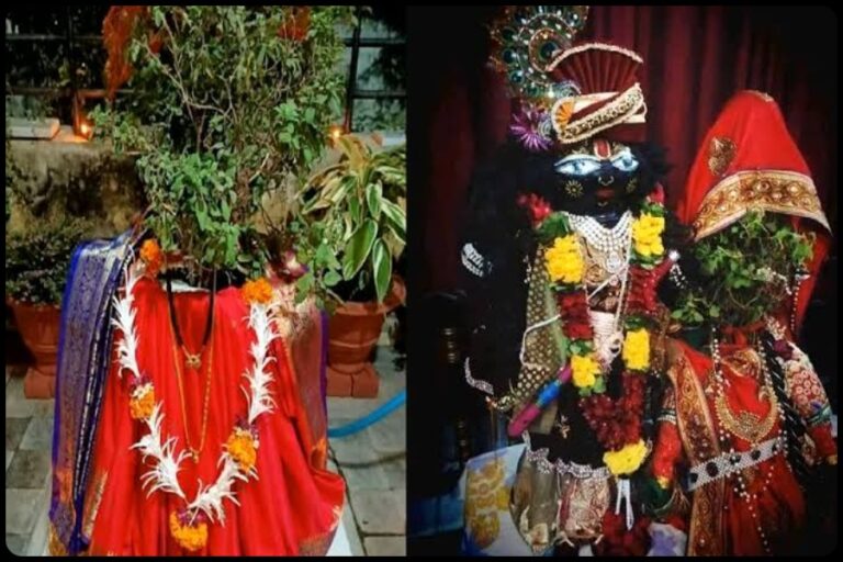 Tulsi Vivah 2023: शादी में आ रही अड़चनों को चुटकियों में दूर करेगा तुलसी विवाह के दिन किया गया यह अचूक उपाय !