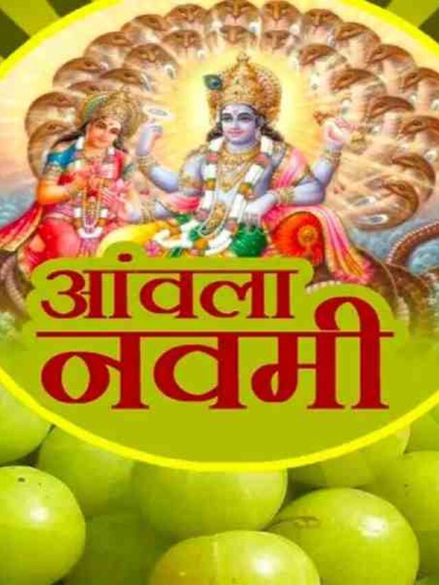 Amla Navami Ke Upay