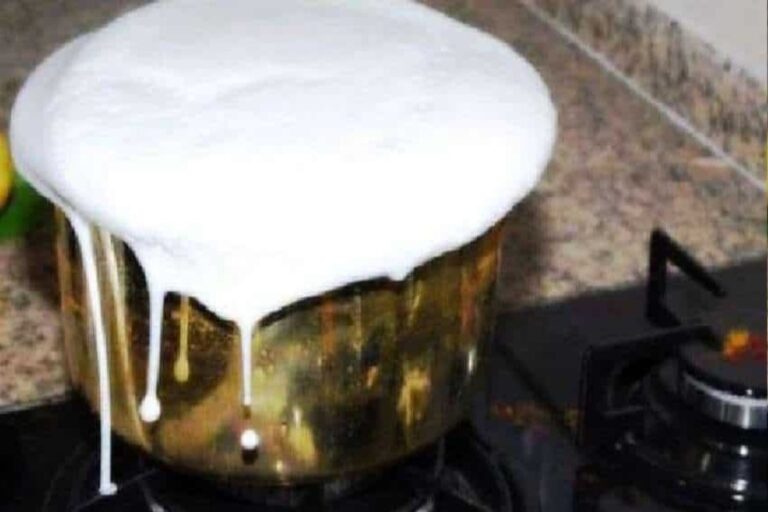 Science Facts Of Milk: विज्ञान के हैं मास्टर तो सोचिए दूध उबलते वक्त आवाज क्यों नहीं करता