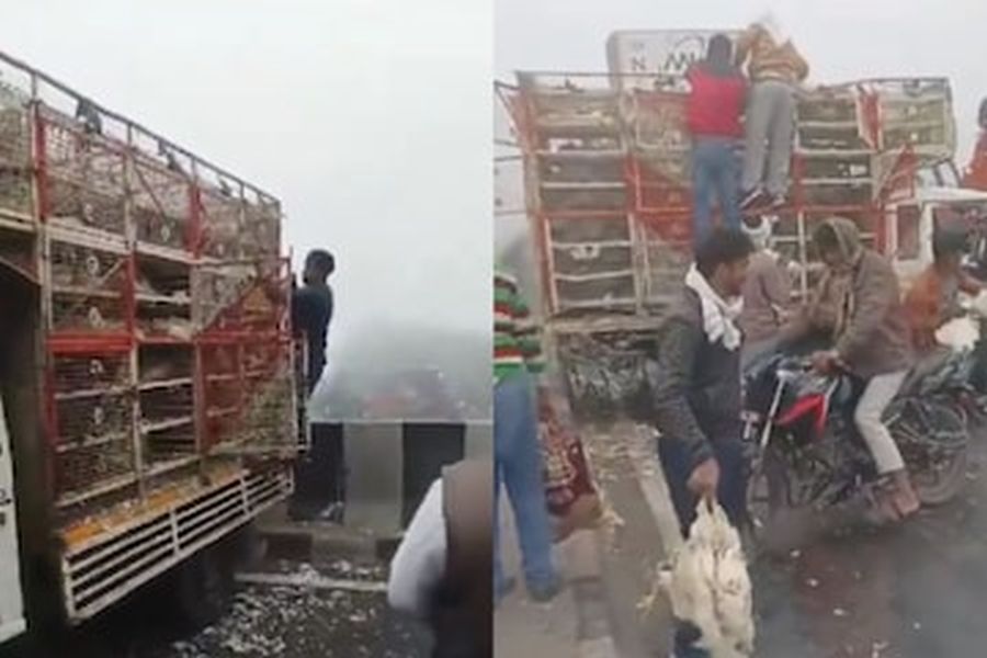 AGRA_VIDEO