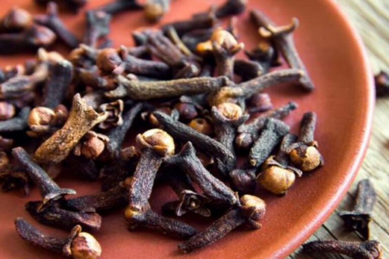 लौंग को चबाकर खाली पेट खाने से मिलेंगे यह सभी लाभ, जल्दी जानें