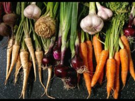 Benefits Of Root Vegetable