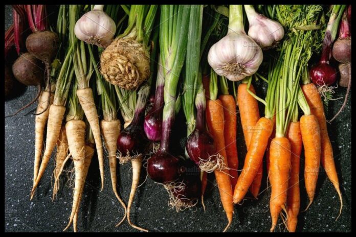 Benefits Of Root Vegetable