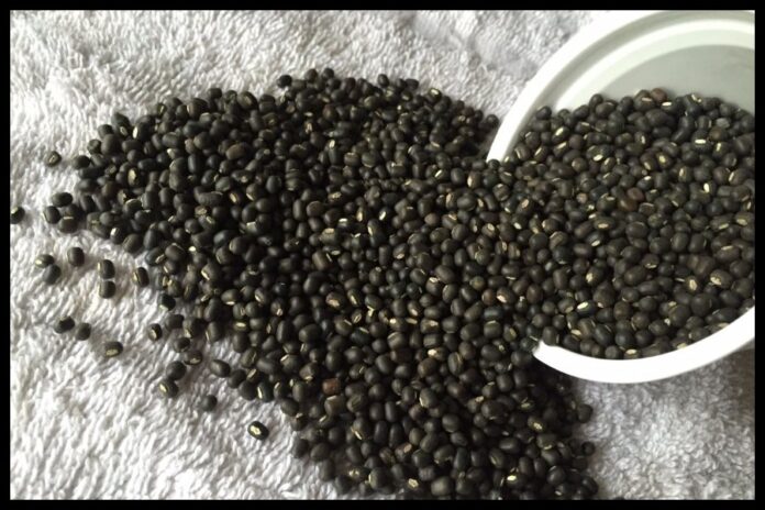 Black Gram Benefits