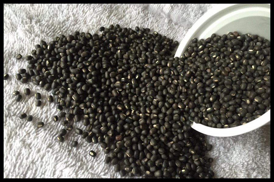 Black Gram Benefits Black Gram Benefits