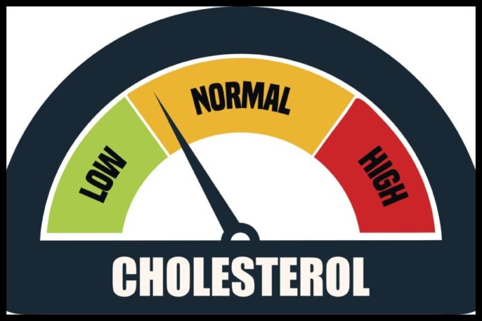 Cholesterol Control Tips