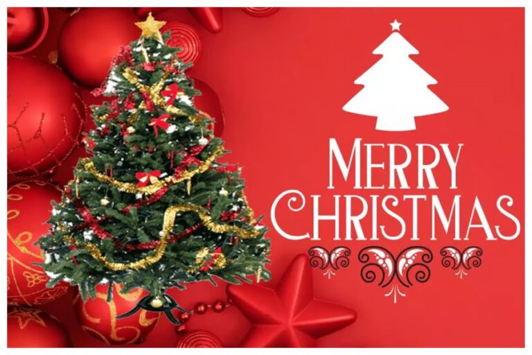 Christmas day 2023 Wishes Messages: इन स्पेशल मैसेज से विश कर कहें- Merry Christmas, संग-साथियों के साथ मनाएं क्रिसमस की खुशियां