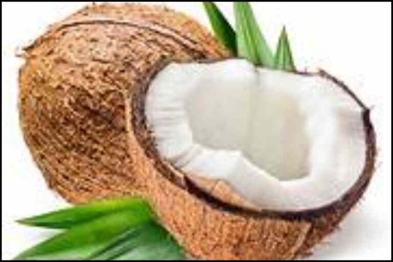 Coconut Vinegar
