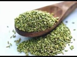 Fennel Seeds Benefits