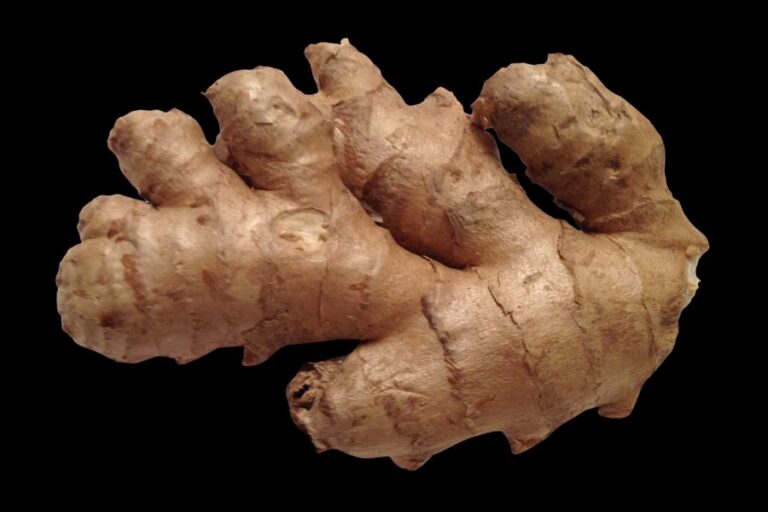 Ginger Benefits in Winter