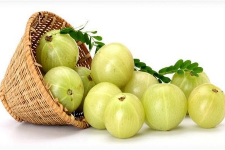 Hair Care: बालों को नेचुरल तरीके से काला करने के लिए आवंला का करें इस तरह इस्तेमाल, जानें तरीका