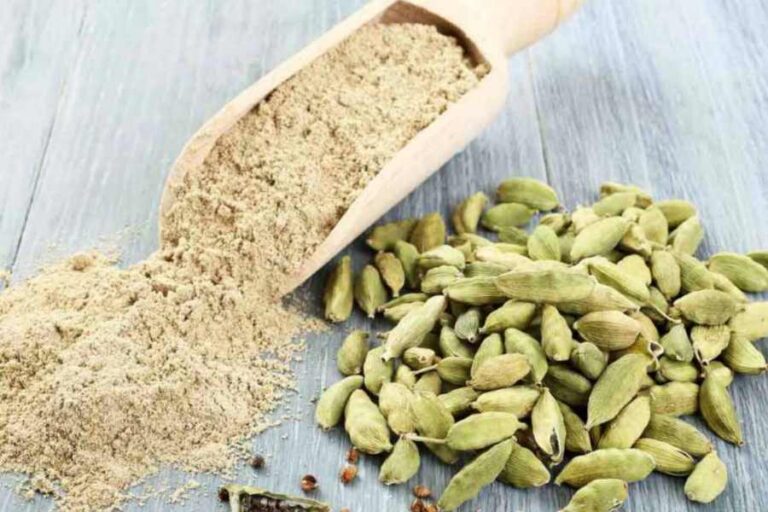 बेमिसाल असरदार फायदे पाने के लिए इलायची के छिलकों का सेवन अपनी डाइट में करें शामिल….