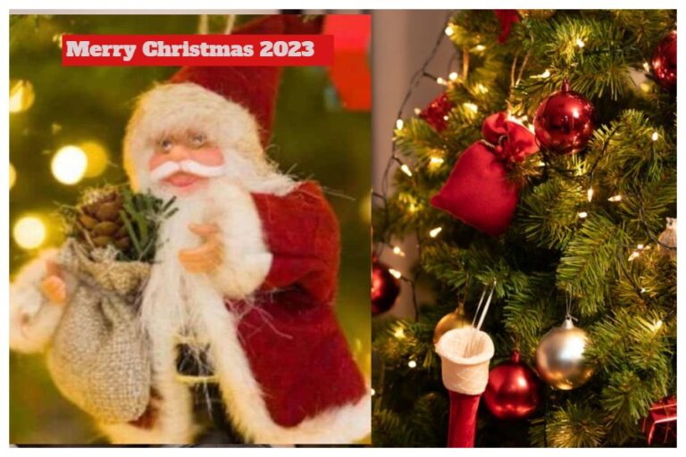 Merry Christmas 2023 : क्रिसमस ट्री की क्या है मान्यता? ऐसे इस दिन को मनाने की हुई थी शुरुआत