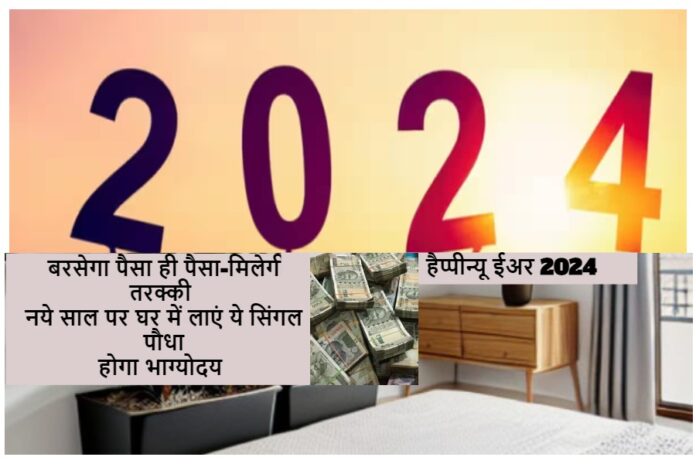 New Year 2024 Plant Vastu New Year 2024 Plant Vastu