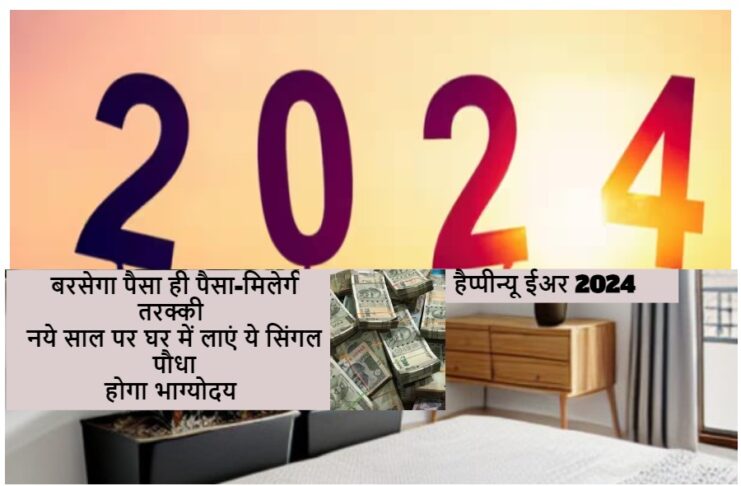 New Year 2024 Plant Vastu