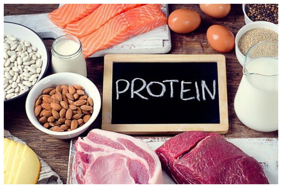 Protein Food In Winter
