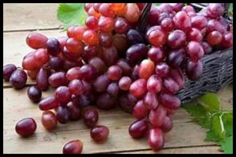 Red Grapes For Kidney
