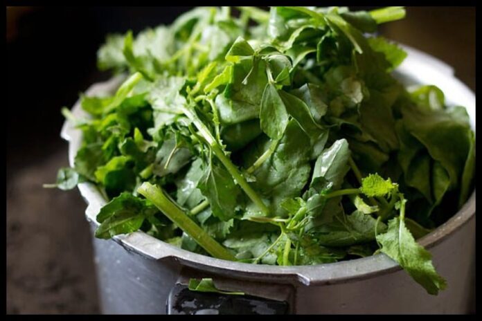 Side Effects Of Bathua Leaves Side Effects Of Bathua Leaves