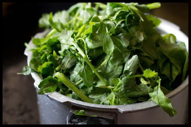 Side Effects Of Bathua Leaves