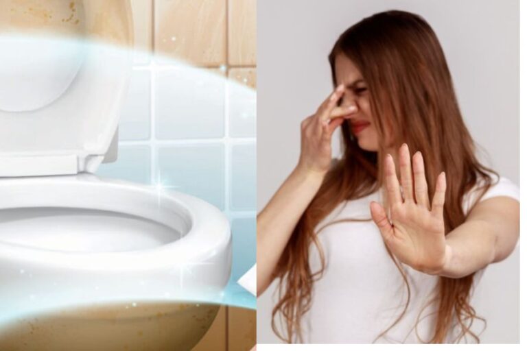 Toilet Cleaning Hacks: टॉयलेट की गंदी बदबू से सड़ गया है पूरा घर, इन चीजों के इस्तेमाल से फैलेगी खुशबू ही खूशबू
