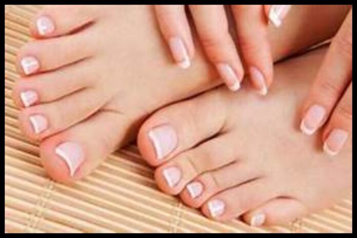 Winter Care Tips Winter Care Tips