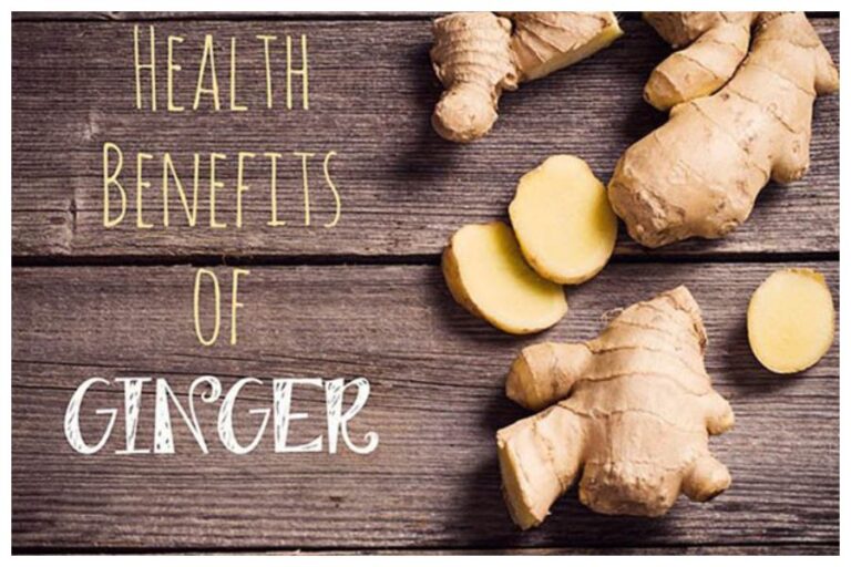 Winter Health Tips: सर्दी-खांसी और इम्यूनिटी बूस्ट समेत इन बीमारियों में रामबाण है अदरक, सर्दियों में सेवन जरूर करें