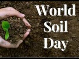 World Soil Day