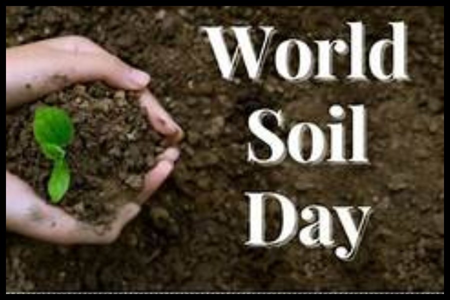 World Soil Day