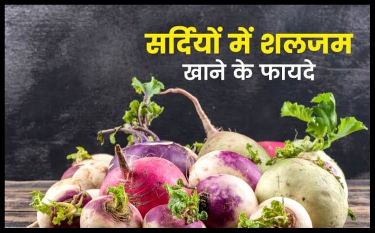 वजन से लेकर बीपी तक को कंट्रोल करता है यह लाल फल,सर्दियों में खाने से मिलते हैं गजब के फायदे 