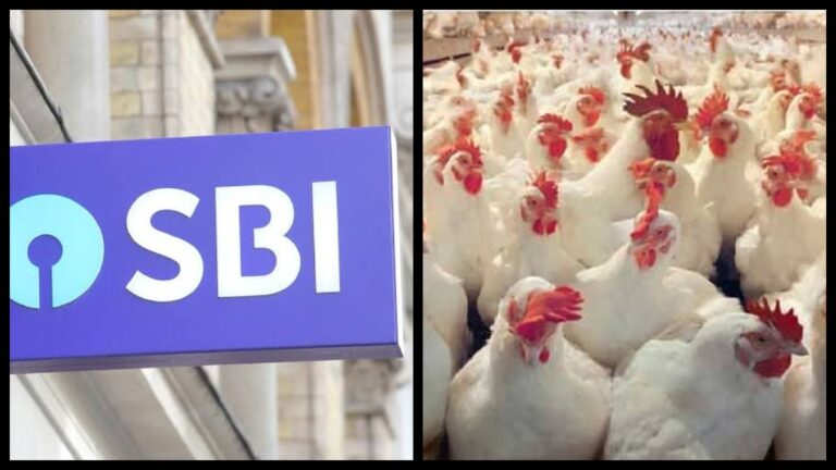 अब पोल्ट्री फार्म खोलना होगा बेहद आसान,SBI दे रही है 27 लाख का लोन,जानीए क्या है आवेदन का तरीका