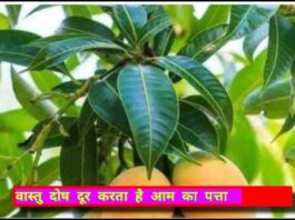 Vastu tips