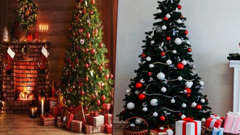 Christmas Vastu Tips:क्रिसमस ट्री खरीदते समय इन बातों का रखें ध्यान,अमीर बनने का सपना होगा पूरा